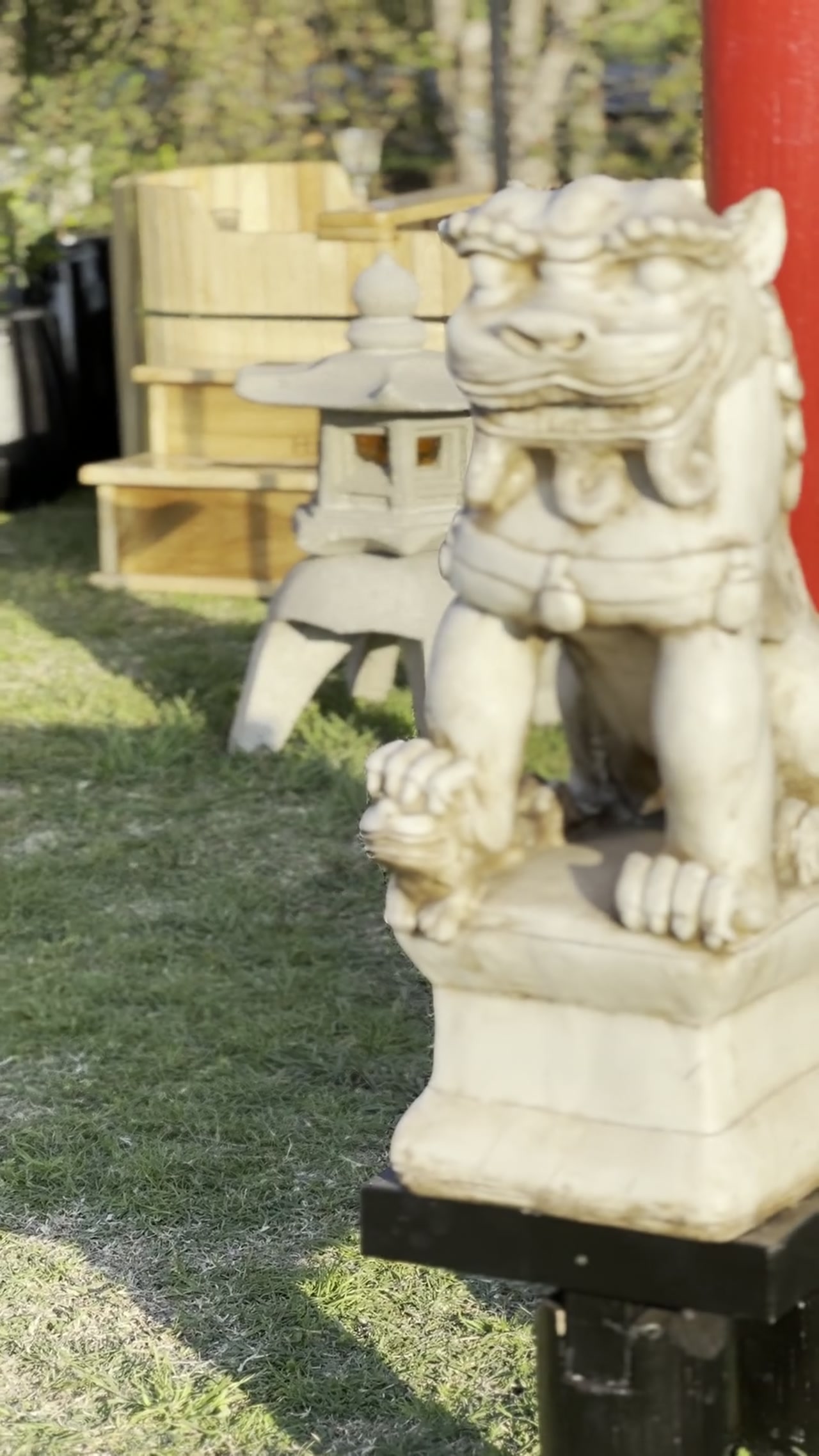 Expo Jardin